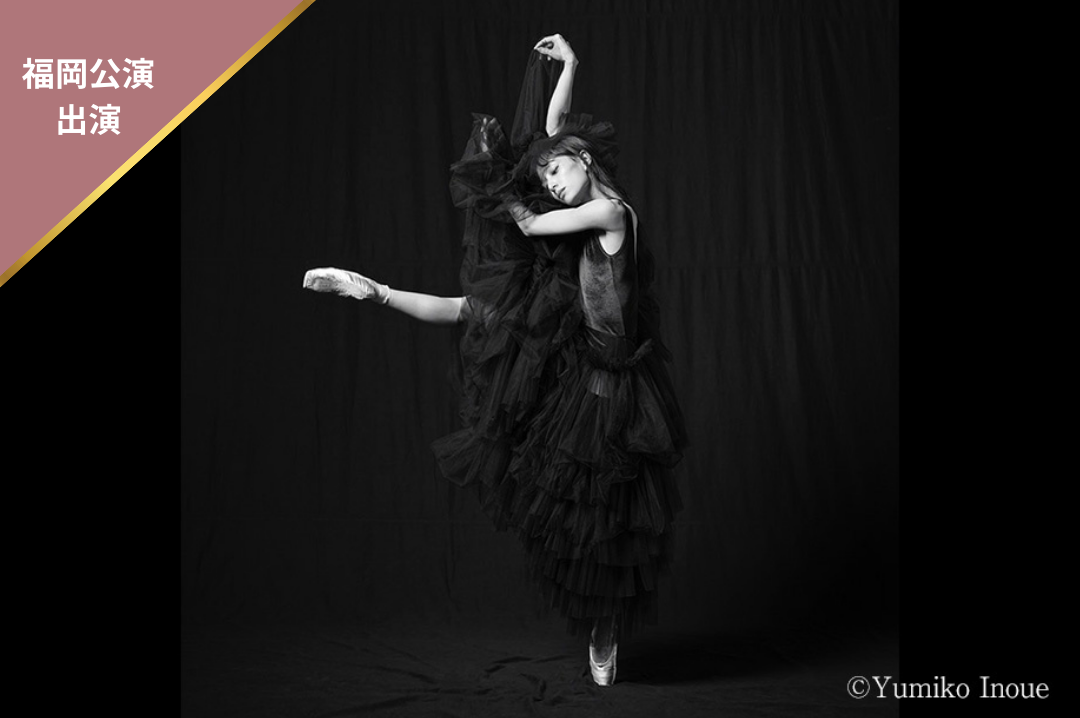 秋山 瑛<br>Akira Akiyama